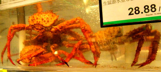 Crab at Asian market.JPG